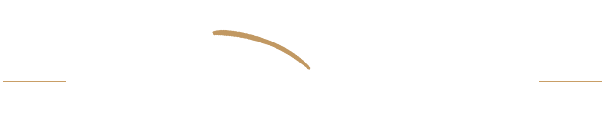 transparent logo